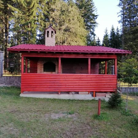 Casa De Vacanta Paraul Rece Εξωτερικό φωτογραφία