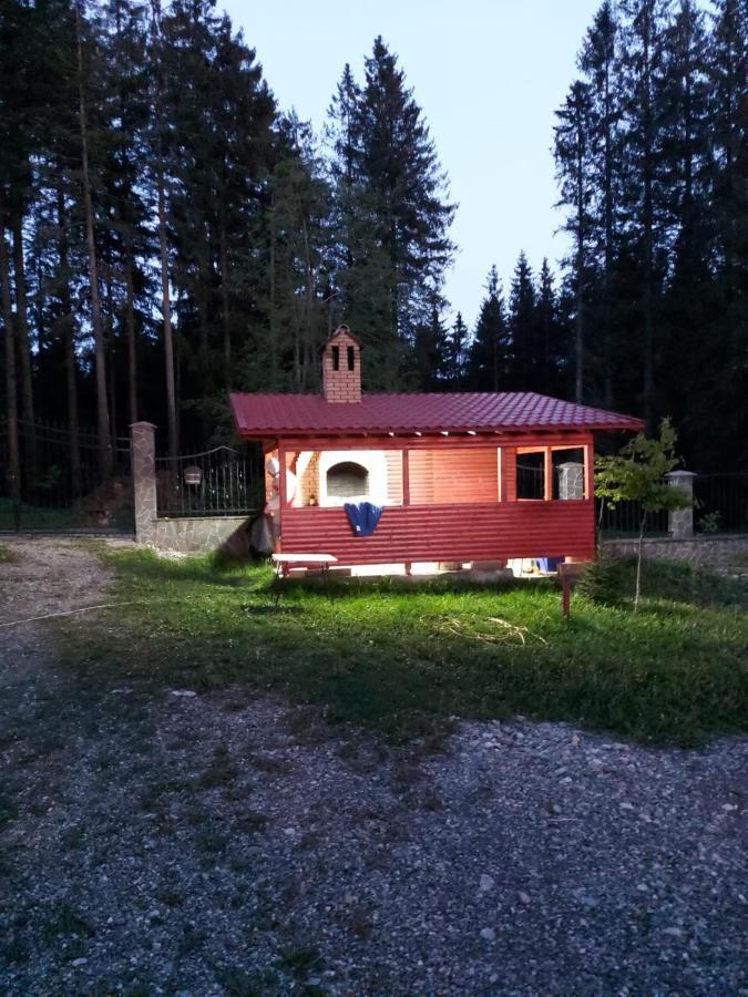 Casa De Vacanta Paraul Rece Εξωτερικό φωτογραφία