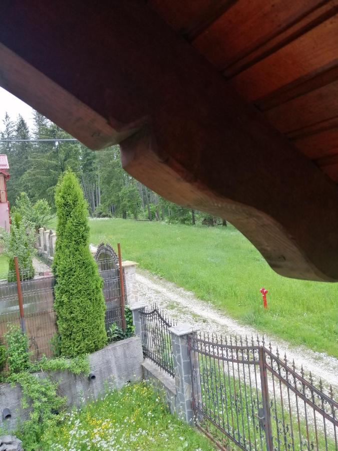 Casa De Vacanta Paraul Rece Εξωτερικό φωτογραφία