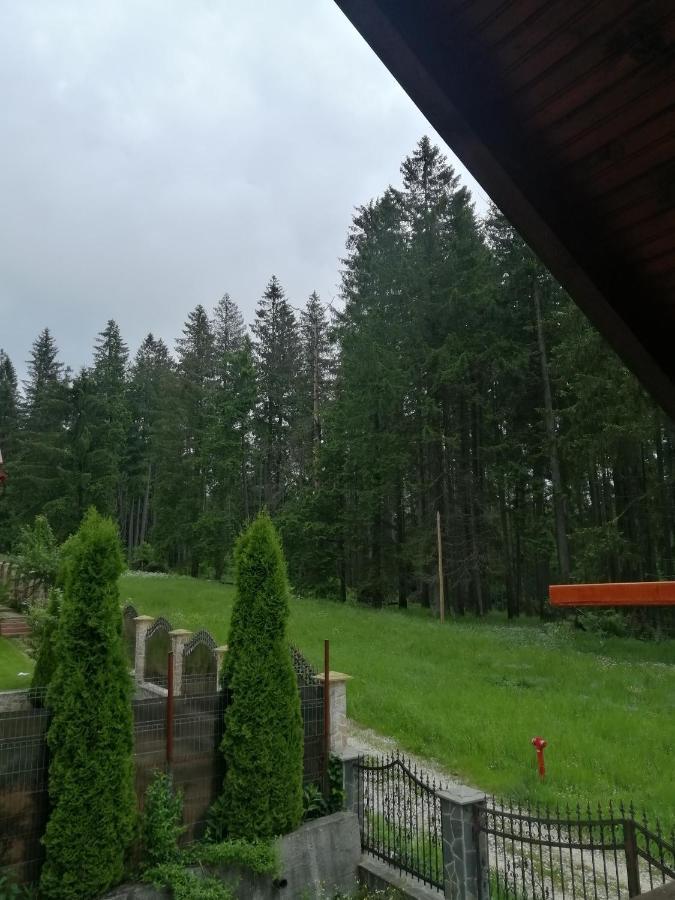 Casa De Vacanta Paraul Rece Εξωτερικό φωτογραφία
