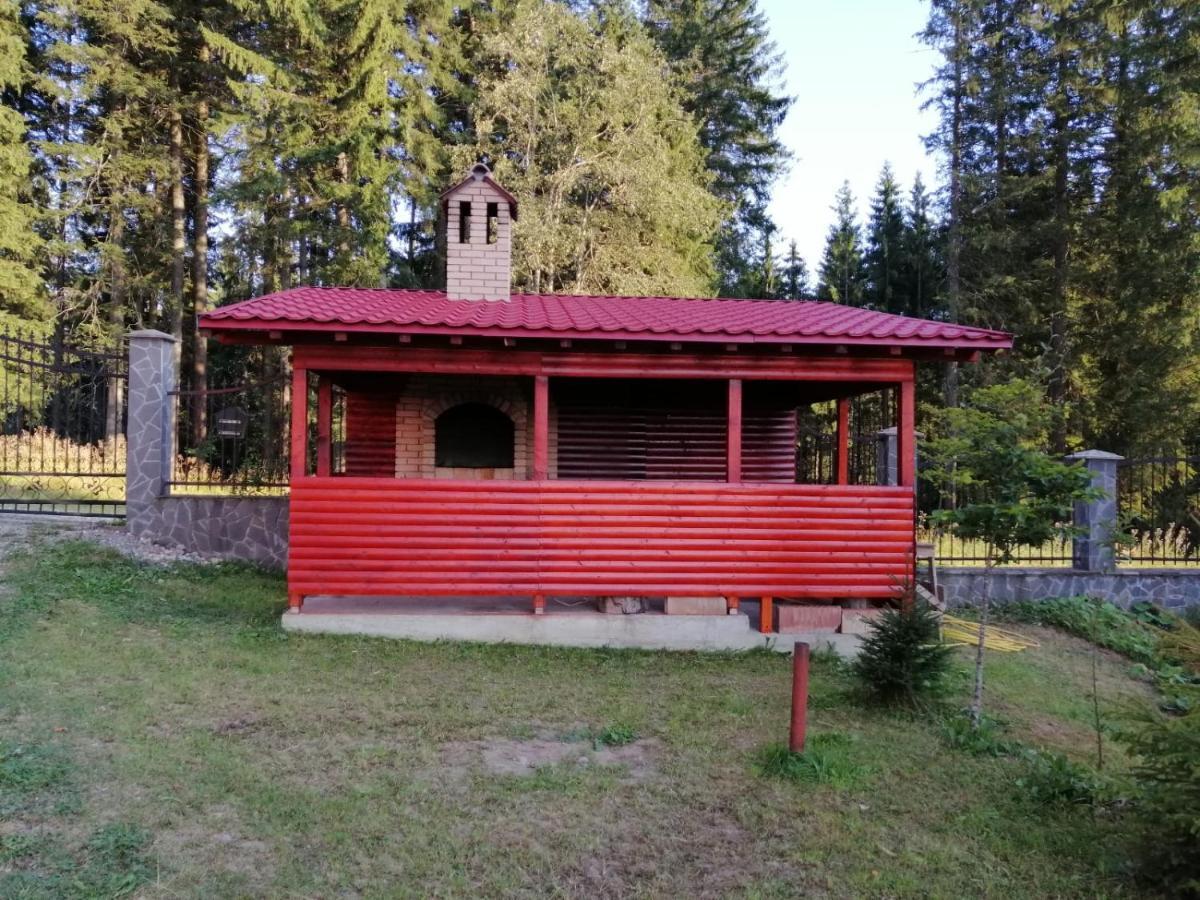 Casa De Vacanta Paraul Rece Εξωτερικό φωτογραφία